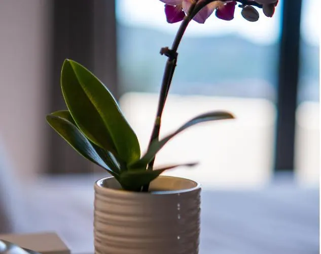 Villa Blue House Ferreira do Zêzere